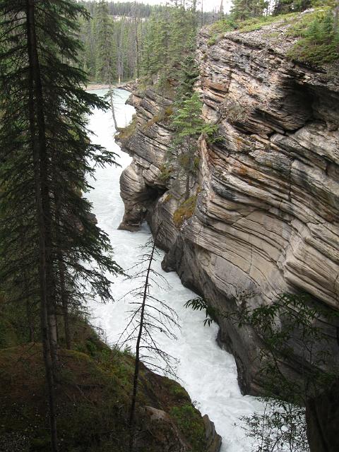 Canadian Rockies-292.JPG - Below Athabasca Falls